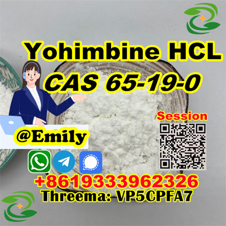 CAS 65-19-0 Yohimbine hydrochloride powder supplier