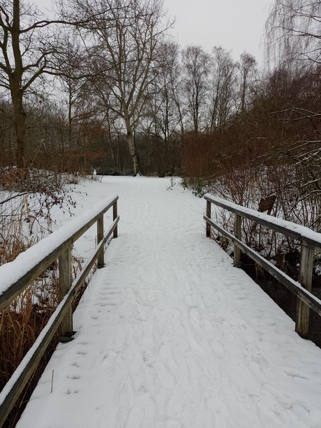 Winter op 7 januari 2026