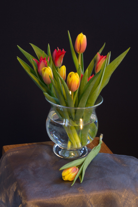 Vaas tulpen