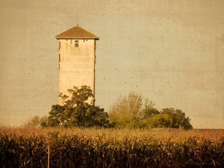 Toscane of Werkhoven?