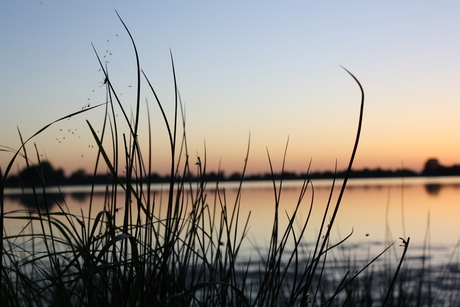 het hijkerveld