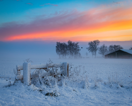 Hekje bij een mooie zonsopkomst