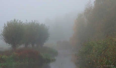 Ochtendmist in het landschap 