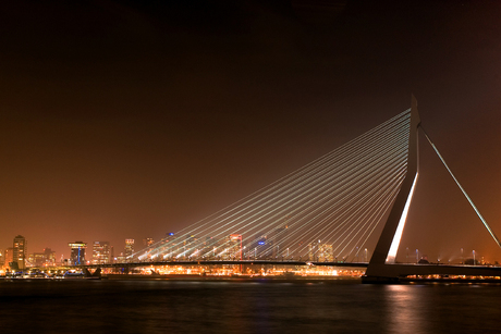 lights of Rotterdam