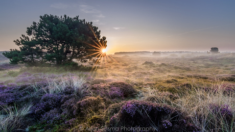 Zonnestralen in de mist over de Landerumerheide