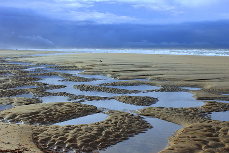 Decemberdag aan het strand bij Monster.