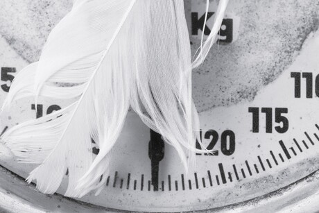 zo licht als een veertje