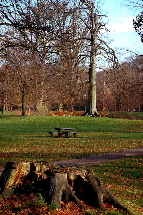 Empty Picnic