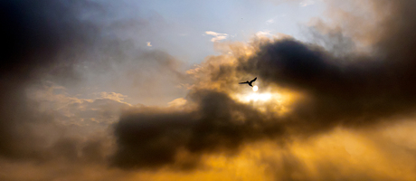 Vogel kust de zon (terecht overigens).