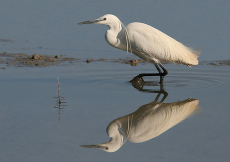 Spiegeltje spiegeltje....