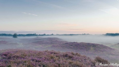 Zonsopkomst Gasterense Duinen