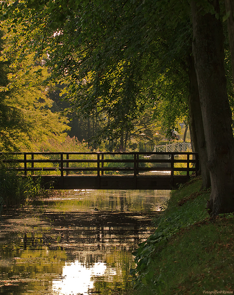 Bridge over trouble water