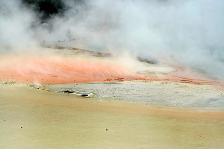 Hell's gate, Rotorua, NZ