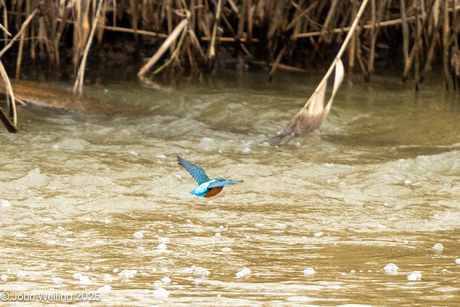 Wandeling rondom deventer