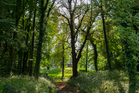 Motte Aldenhaag