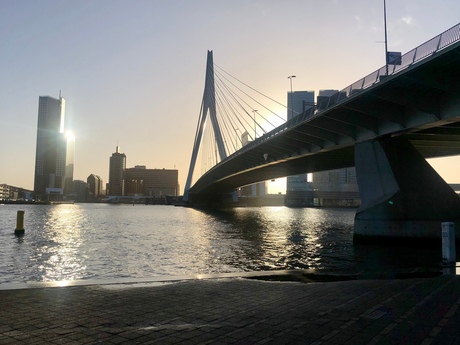 Erasmusbrug Rotterdam