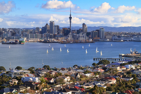 Auckland Harbour View