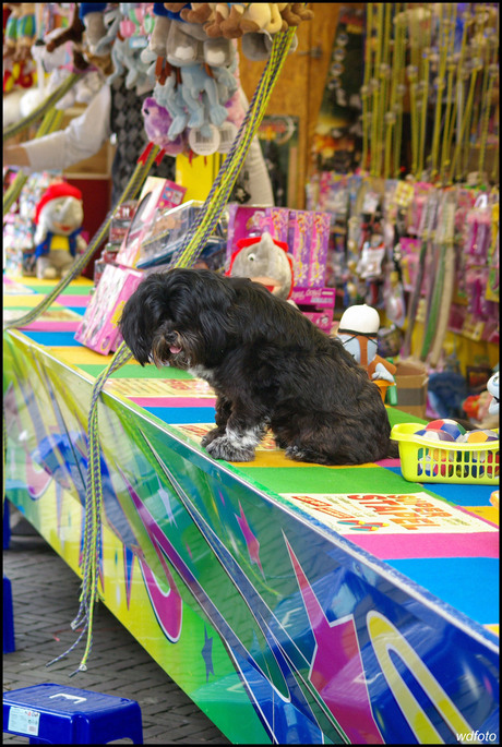 Braderie Doesburg