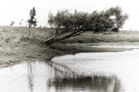 spiegeling ala Masao Yamamoto