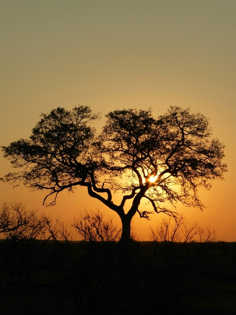 African sunset