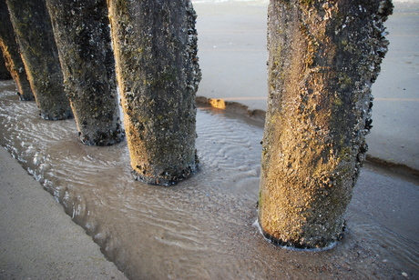 palen op het strand