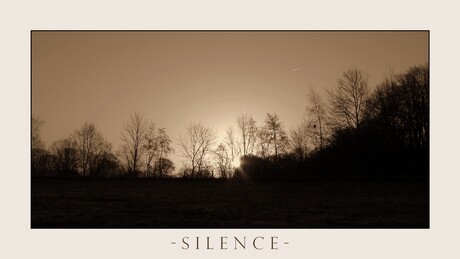 Silence in the morning