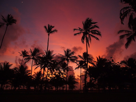 Sunset Sri Lanka