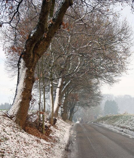 Winterlandschap Limburg