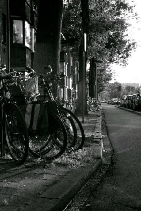 Bikes in the Hague