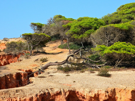 Algarve Portugal 