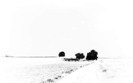 Minimalistisch landschap