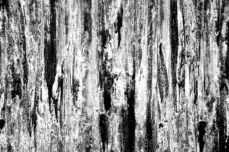 Artistic decay 05