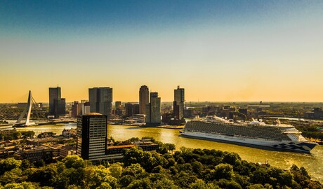 Rotterdam Cruise City 