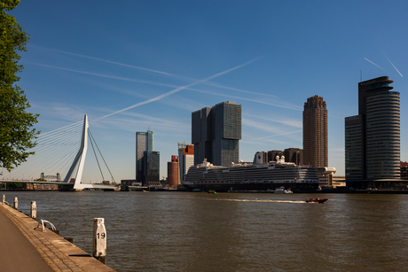 Erasmusbrug en de Maas 