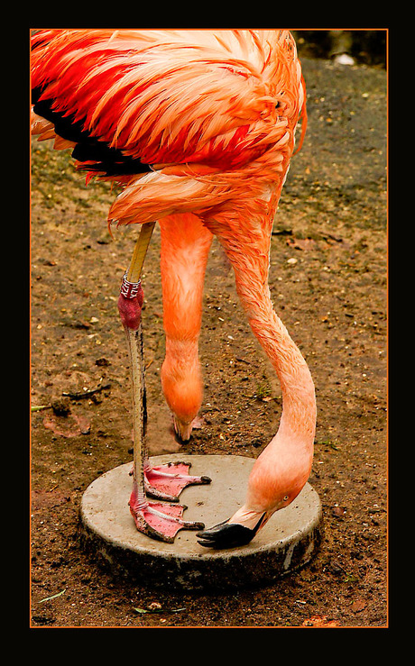 heeeeeeeeeeeeeeeeeeeeeeeeeeeeee........?????????????