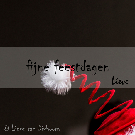 kerstkaartje 2015 Lieve