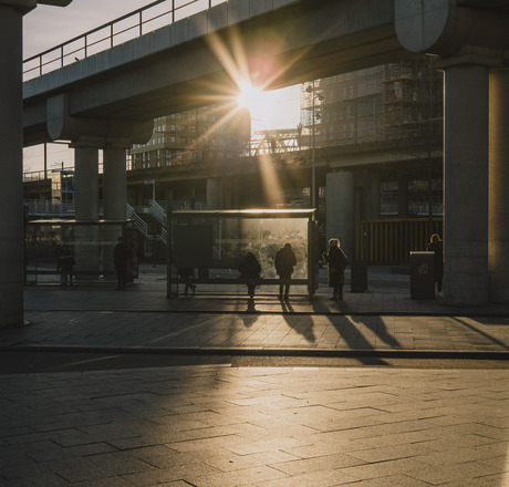 Sunrays