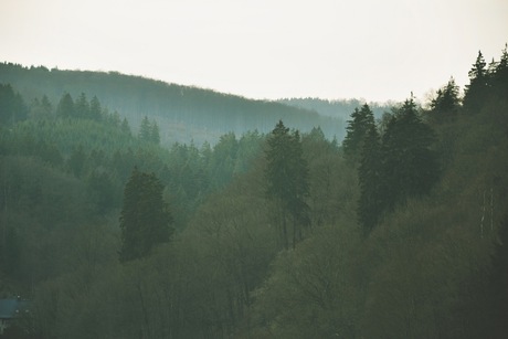 zicht in de bergen