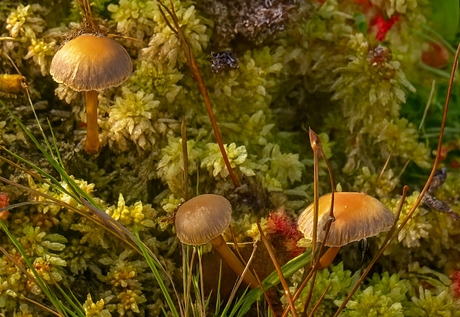 Gezellig herfsttafereeltje 