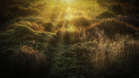 Zonsondergang in strijklicht