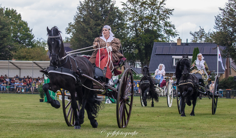 Concours Hippique in Buitenpost