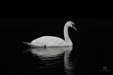 Als de avond valt, verschijnt de schoonheid