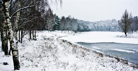 Sneeuwlandschap