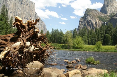 Yosemite Park