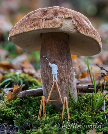 Groot onderhoud in het bos 