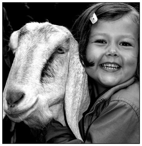 Op de kinderboerderij