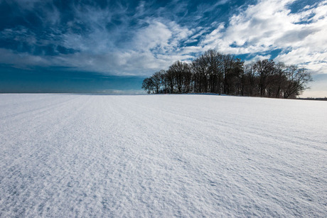 Virgin snow landscape