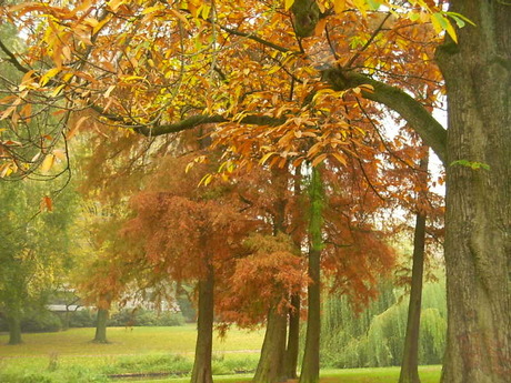 herfst in eindhoven