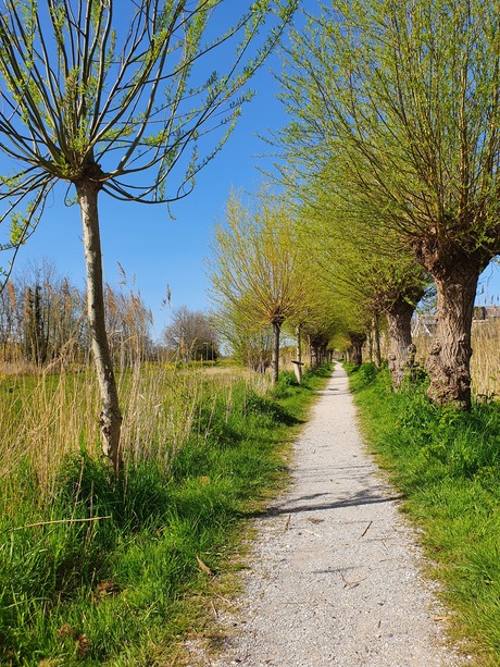 Natuur dicht bij huis