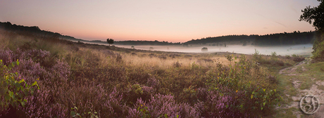 Heide-panorama